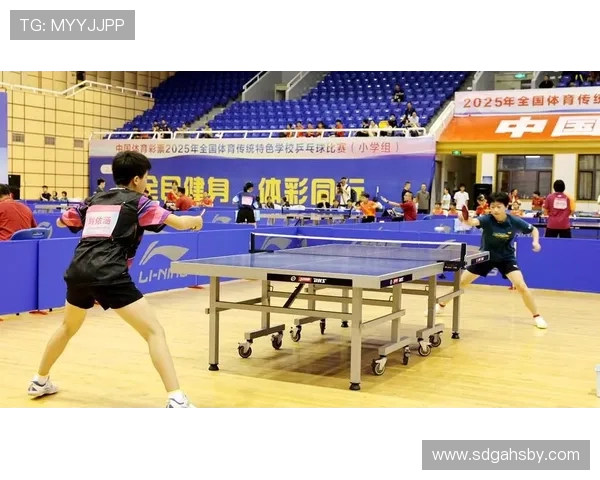 乒乓球运动的魅力与发展历程探析：从传统竞技到全球化潮流的崛起