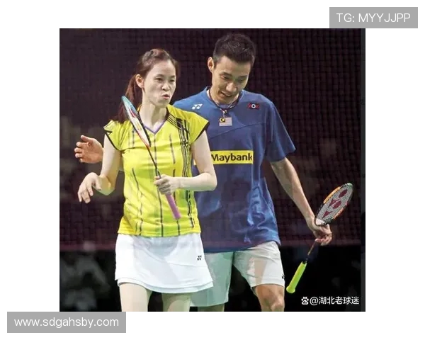 赛后复盘：西安羽毛球队vs北京羽毛球队的战术