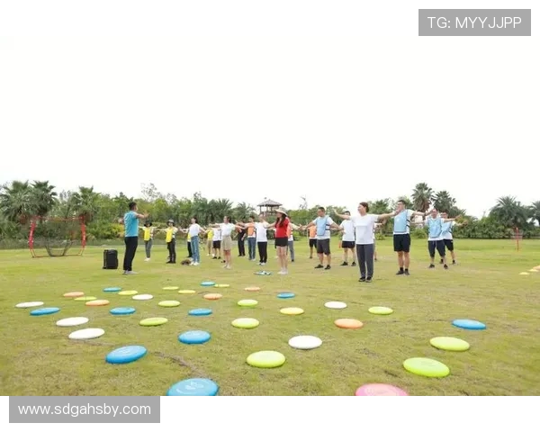 飞盘专题：深入解析北京飞盘队的默契配合与战术运用